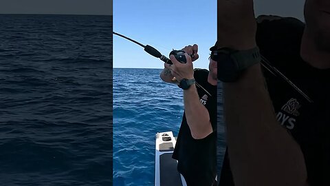 164 foot under the ocean - SPY CAMERA #fishing #emergencyfood #fish #boat #underwater #fielddays