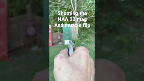 Shooting the NAA 22 mag for Muzzle Flip Requested Video from Sub #concealedcarry #pewpew #shooting