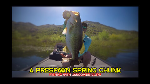 A PreSpawn Spring Chunk | Bass Fishing Lake Perris April 2023 | Fishing with JangoMike Clips