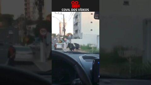 acidente de transito inacreditável 😱😱😱