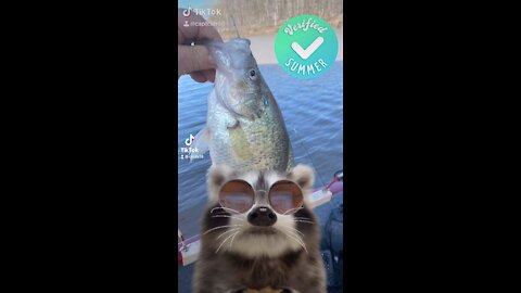 Fishing with rocky