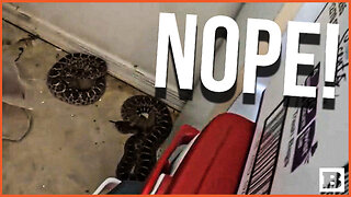 NOOOOOOPE! Rattlesnake Wrangler Removes 20 SNAKES from Arizona Garage