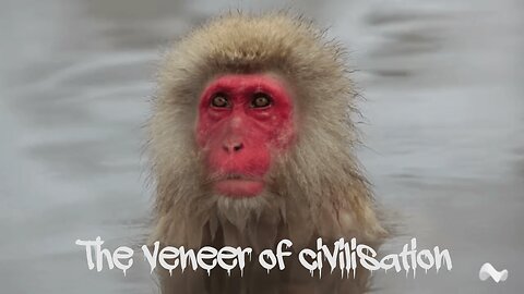 The Veneer of Civilization - Jim Beasley