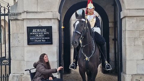 Disable lady in a wheelchair strokes the horse #horseguardsparade