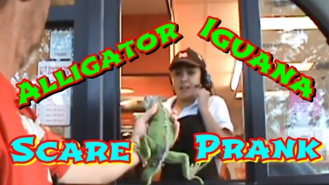 Real Alligator & Iguana & Fake Snake Scare Prank!!! 😱🦎🐊🐍