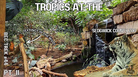 From Tropical Birds to Cold Cats | Sedgwick County Zoo | BEC TREK Episode 44 (Pt2)