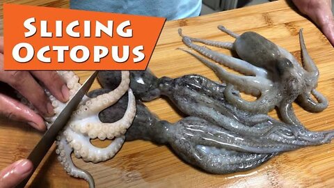 Octopus Cutting Alive | Octopus Cutting Skills | Satisfying Octopus Cutting | Octopus Cutting Video