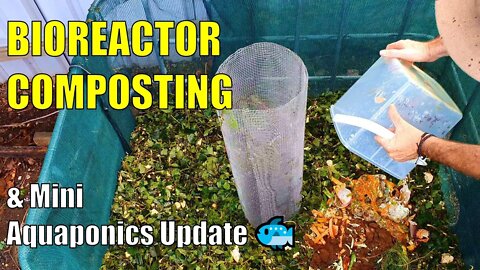Bioreactor Composting & Mini Aqua Update