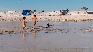 A fun day at the beach.