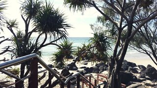 AUSTRALIA | Coolangatta Beach...