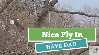 Hays Eagles Dad amazing fly in Squirrel attempt 2022 01 16 1137AM