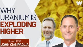 Got Uranium? Here's Why It's Price Just Spiked +60% | John Ciampaglia, Sprott CEO On Nuclear Energy