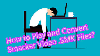 [SMK File] How to Play and Convert Smacker Video Files?