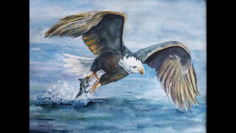Bald Headed Eagle fishing / hungry eagle fishing