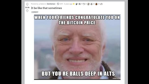 MAKING MILLIONS FROM ALTCOINS? - r/cryptocurrency meme