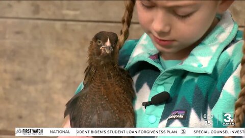 9-year-old cancer survivor is a 'tough chick'