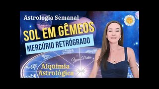 Horóscopo do dia 20 a 26/05 - Sol no Signo de Gêmeos; Mercúrio Retrógrado em Touro - Yara Portes