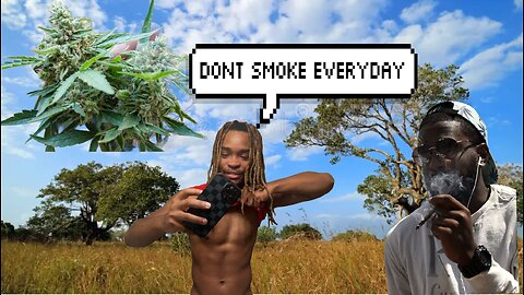 Why you SHOULDN’T SMOKE WEED everyday (Important INFO)