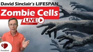 Zombie Cells - David Sinclair’s LIFESPAN
