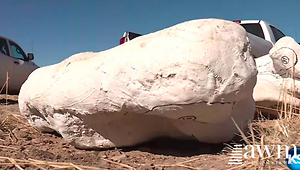 Man’s 76-Million-Year-Old Find In Utah Is Being Called The Most Significant Discovery In Years