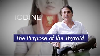 Iodine – The Purpose of the Thyroid -