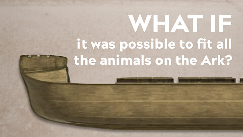 What If It Was Possible To Fit All The Animals On The Ark?