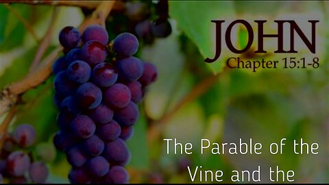 The parable of the Vine and the Branches Explained