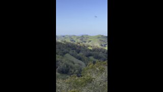 Green Rolling Hills in Briones