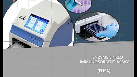 what is elisa and its procedure and principle