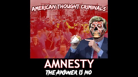 Music video: "Amnesty (The Answer is No)"