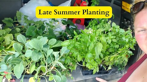 Late Summer Planting and Garden Tour! | Early July!
