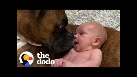 Baby Takes His First Steps Straight To His Dog |