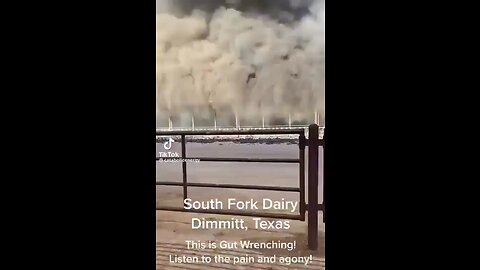 South Fork dairy farm, you can hear the cows screaming in agony as fire consumes them…