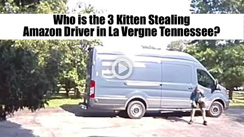 Who is the 3 Kitten Stealing Amazon Driver in La Vergne Tennessee?