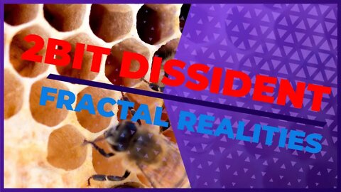 2Bit-Dissident Roundtable - Fractal Realities & The Form/Spirit Distinction.