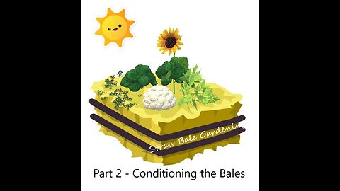 Straw Bale Gardening Part 2 - The Conditioning