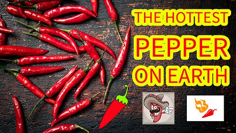 🌶️The Hottest Pepper on Earth!🌶️