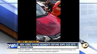 New video shows moments before SDPD dog bite