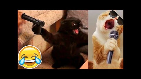 Funny Animals memes 😂 Funniest Cats and Dogs Videos 😺🐶funny memes