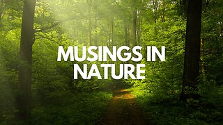 Musing in Nature - Does movement and nature help Tension myoneural syndrome?