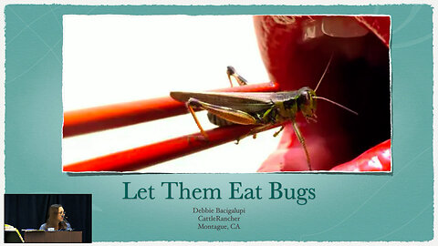 Let Them Eat Bugs - Debbie Bacigalupi