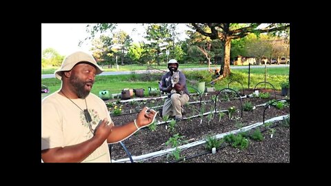 How We Are Growing Food Security At Home