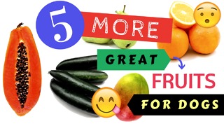 5 MORE Great Fruits for Dogs