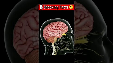6 facts that blows your mind🤯. #shots #facts #viralshorts