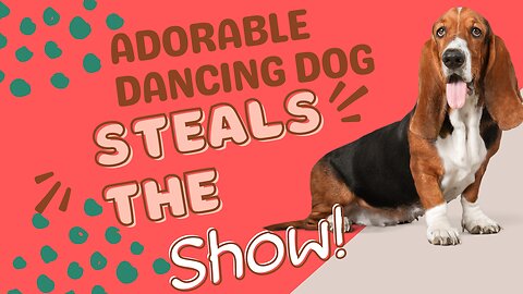 Adorable Dancing Dog Steals the Show!