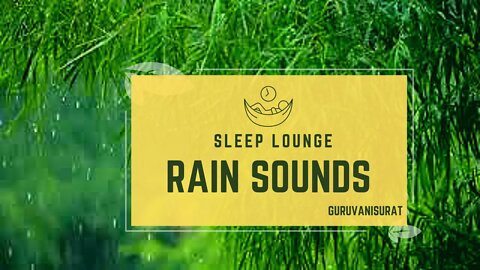 Rain Sounds for Sleeping - Sound of Heavy Rainstorm in the Misty Forest