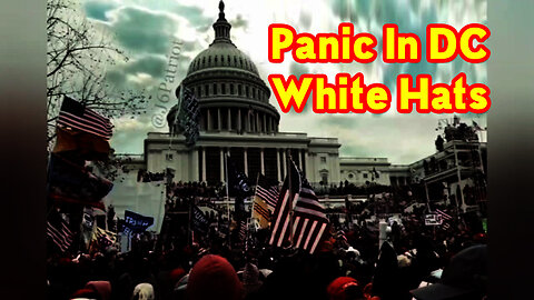 Panic In DC. White Hats in Control 2.21.23
