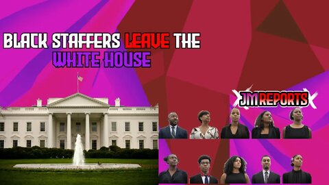 Massive Black staff exodus from the white house