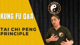 Tai Chi Peng Principle Question | Kung Fu Training