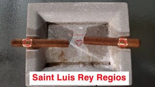 Saint Luis Rey Regios (Cuban) cigar review & cigar discussion.